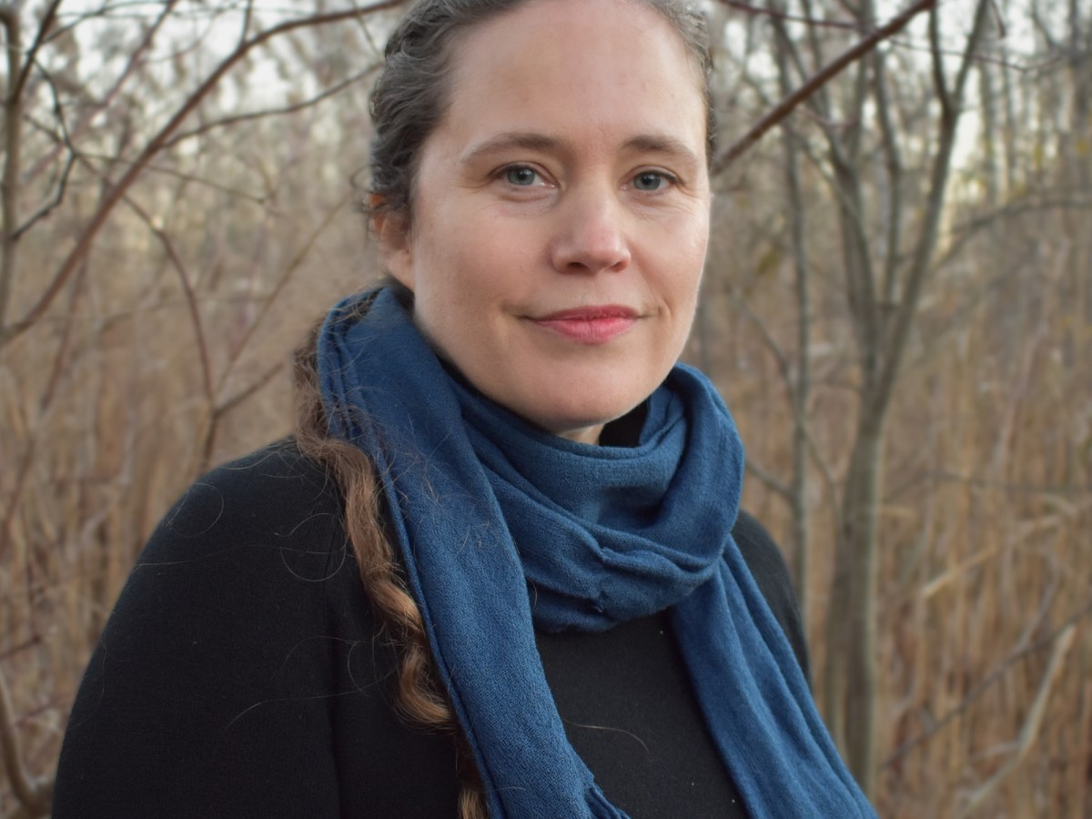 Introducing the Domestic&nbsp;Feminist